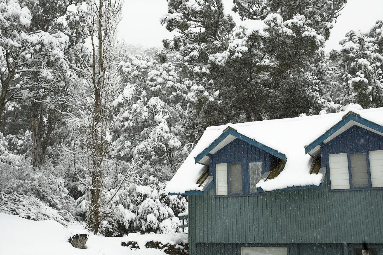 Alpenhorn Βίλα Thredbo Εξωτερικό φωτογραφία