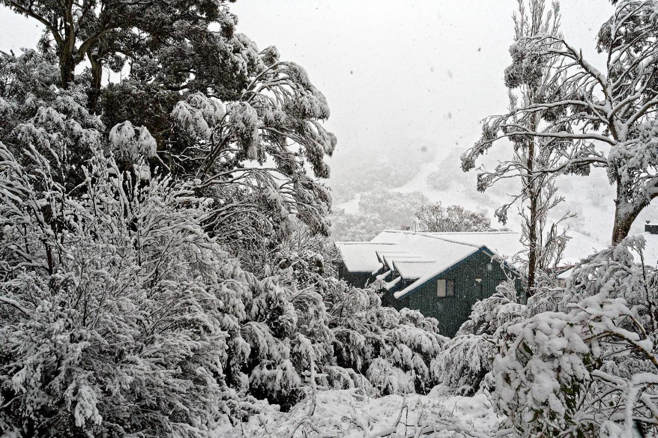Alpenhorn Βίλα Thredbo Εξωτερικό φωτογραφία